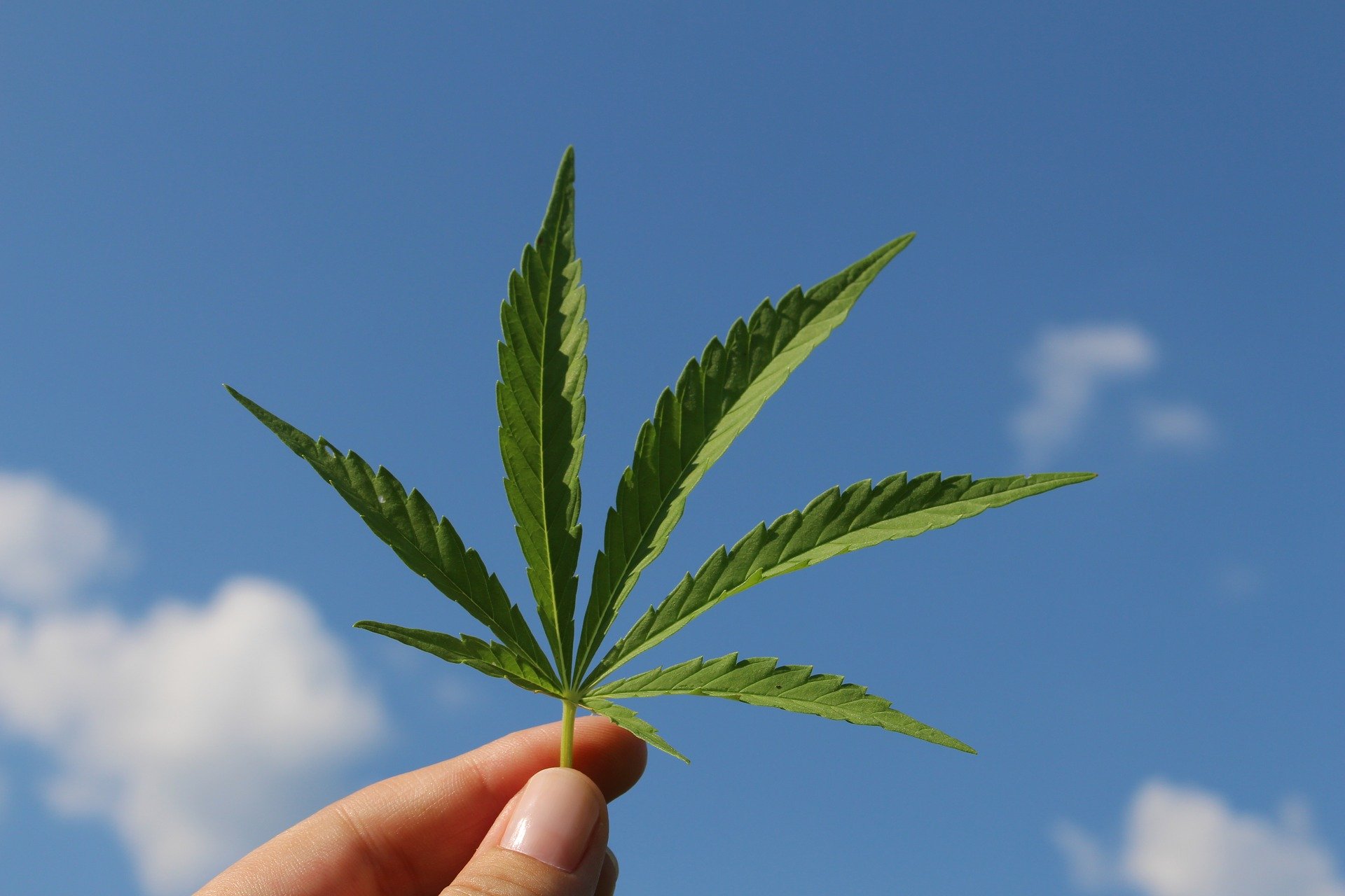 Was ist CBD?
